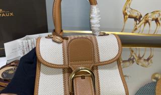 2021比利时主力阵容